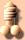 penis.gif (14152 bytes)