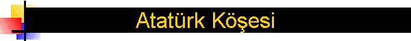 Atatrk Kesi