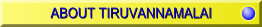 About Tiruvannamalai