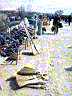 25mar004b.JPG
