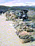 25mar006b.JPG