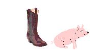 pig