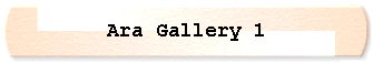  Ara Gallery 1 