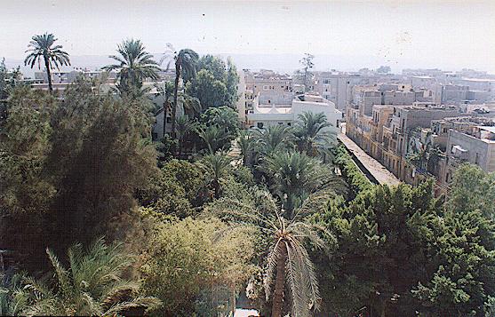The Garden