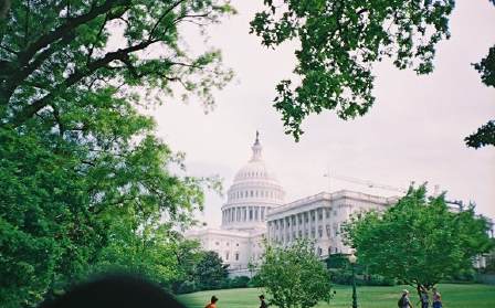 The Capitol