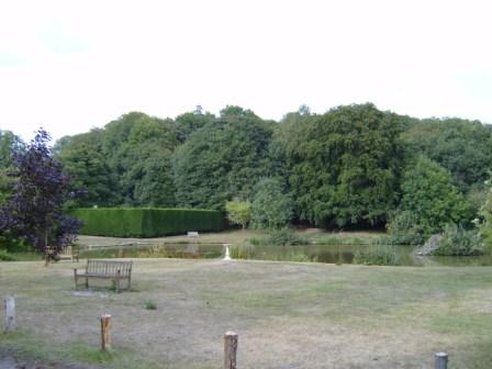 The village pond in Hascombe