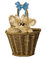The Site Fights Blooming Baskets