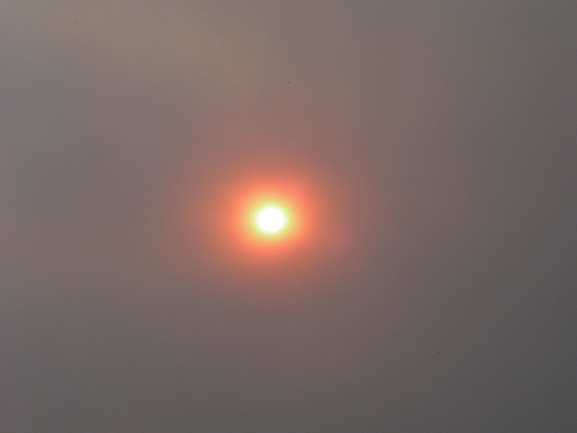 Fire-Storm '03