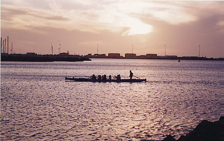 dragonboat.JPG (49598 bytes)