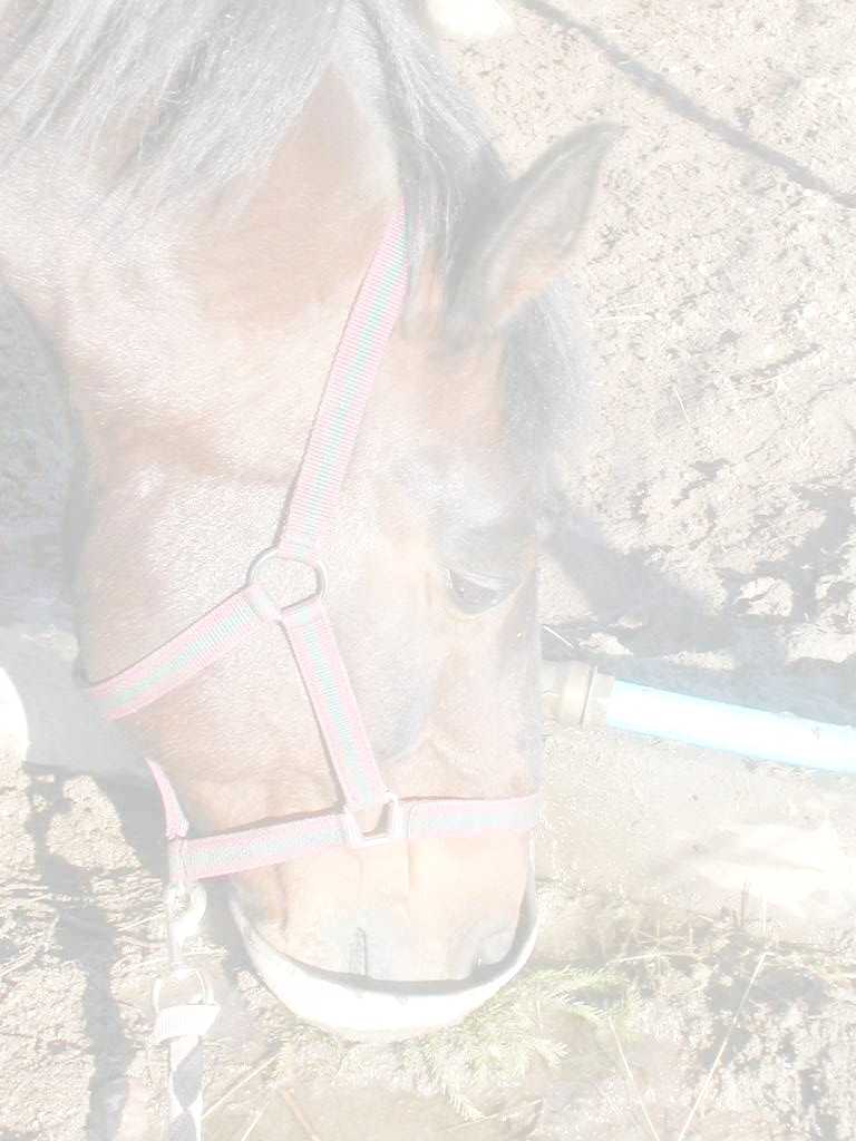 piupau
