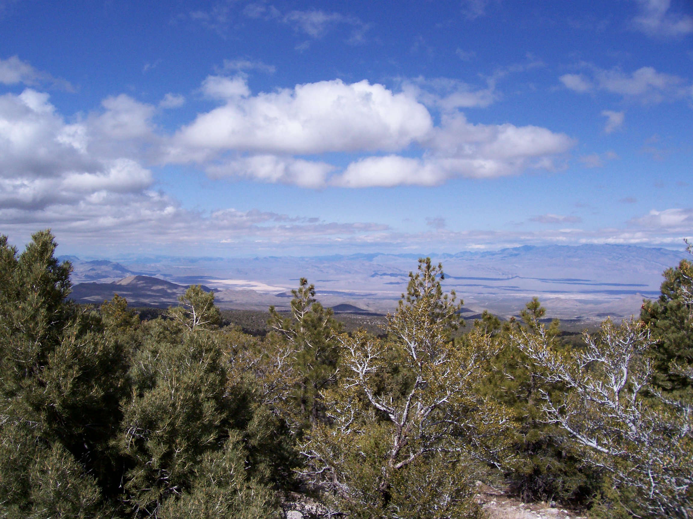 mnt2