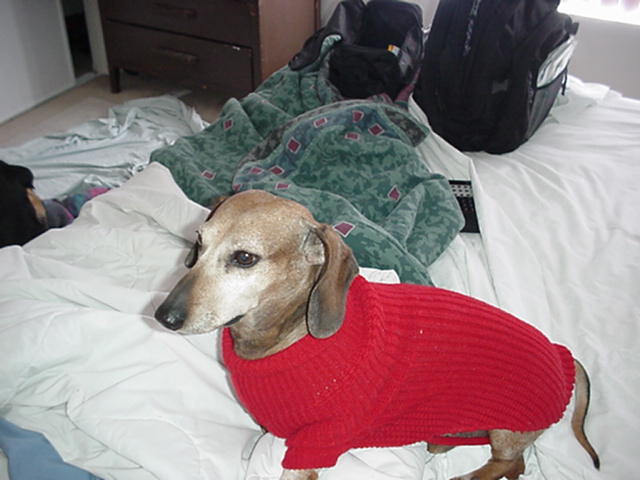 sweater