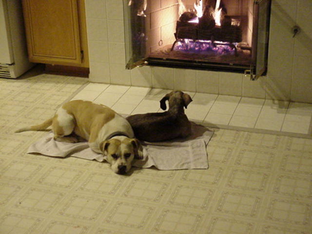 bailey