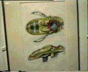 artofsw75