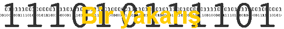 Bir yakarış