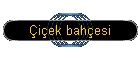 iek bahesi