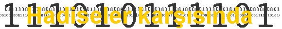 Hadiseler karşısında