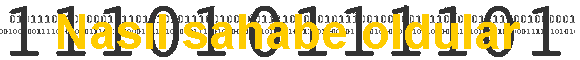 Nasıl sahabe oldular