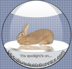 Our son Andrew created this logo for us! Isn't it great?!?! 