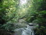 Stream