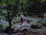 Stream at hte waterfall