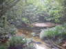 Matang