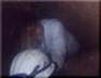 Steph_Bender