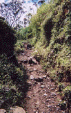 bella_vista_hike bella_vista_hike