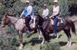 maya_steph_maria_horses maya_steph_maria_horses