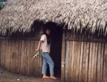 sister_puntunuts sister_puntunuts