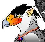 Sqawk! Click me