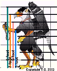 click to see size compare to human