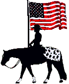 Appaloosa horse