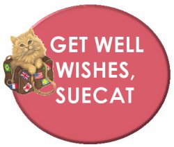 For you SueCat!