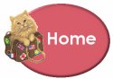 Visit Sue Cat 