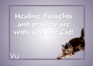 From Vu!