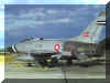 f100Danish.jpg (123089 bytes)