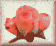 American Rose Society