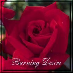 Burning Desire