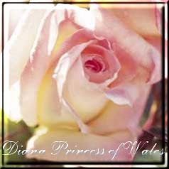 Diana Princess of Wales