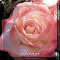 Gemini