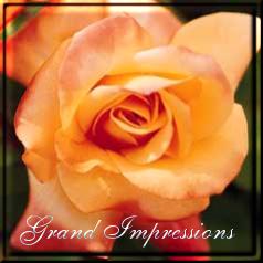 Grand Impression