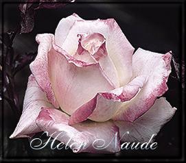 Helen Naude