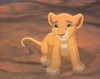 Kiara, Simba and Nala's daughter.