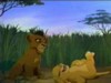 Kiara and Kovu at play.