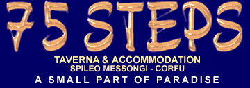 75 STEPS Logo