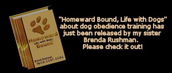Homeward Bound