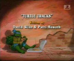 Turtle Tracks