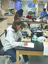 Students in Bio Lab