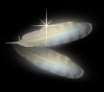 angelflyingbulletsix.jpg (2276 bytes)
